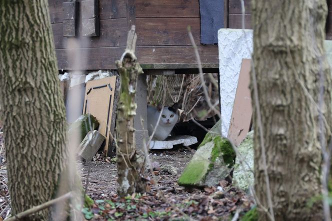 Spacer doliną Bystrzycy na lubelskim Wrotkowie