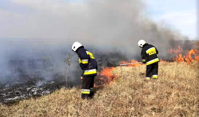 Pożary w Biebrzańskim Parku Narodowym