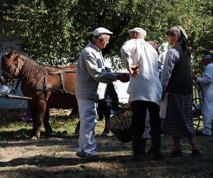 W skansenie w Lublinie pokazali, jak dawniej wyglądały wykopki kartoflane