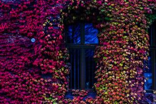 Rondo Praw Kobiet uroczyście otwarte w Toruniu. Prezent na 8 marca