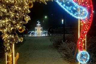 Ze szronem są jeszcze piękniejsze! Świąteczne iluminacje w Łomży