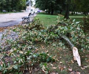 Park wilanowski zamknięty po burzy w Warszawie