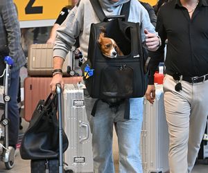 Krzysztof Gojdź przyleciał do Polski