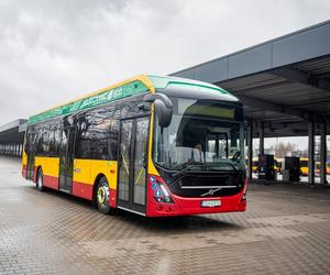 Łódź otrzyma nowe elektrobusy. Ogłoszono zwycięzcę przetargu