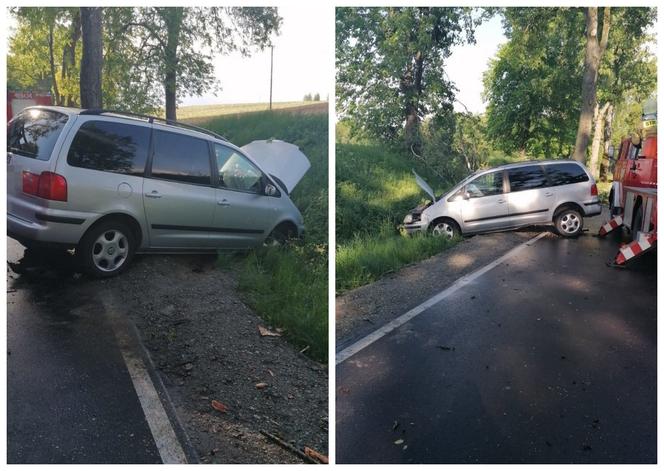 Gałąź spadła na drogę. Kierowca nie zdążył wyhamować. Jedna osoba ranna [ZDJĘCIA]