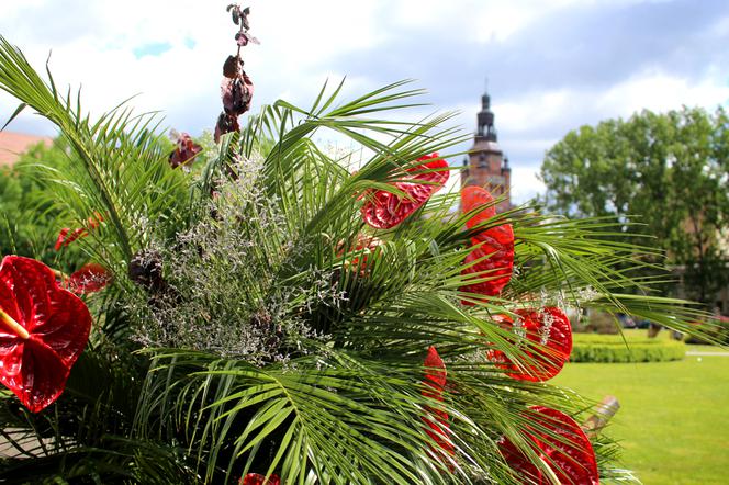 Wystawa Florystyczna na Wałach Chrobrego