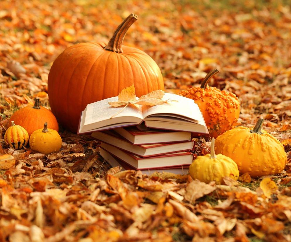Premiery książek na listopad 2023! Co warto czytać jesienią? Sprawdźcie! 