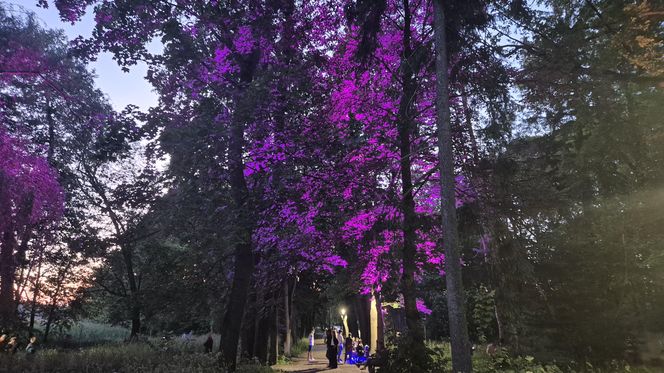 Olsztyn zamienił się w magiczną krainę. Park Świateł przyciągnął tłumy!