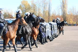 Atestacja koni służących w łódzkiej policji i straży miejskiej