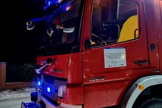 Lubelskie. Sarenka wpadła do stawu. Strażacy ruszyli na ratunek