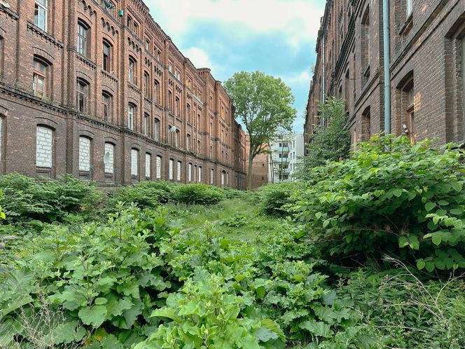 Zabytkowe famuły Izraela Poznańskiego w Łodzi 