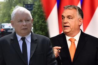 Kaczyński OSTRO o Orbanie: Trzeba mu poradzić pójście do okulisty.... Koniec sojuszu?