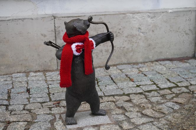 WidziMisie w Białymstoku gotowe na zimę