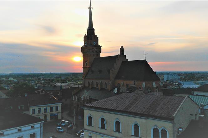 Katedra Tarnowska