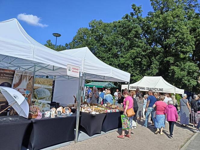 Dożynki Miejskie i Święto Chleba Poznań 2023