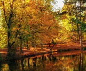 Park Sołacki zachwyca kolorami. To zdecydowanie jedno z najbardziej barwnych miejsc w Poznaniu [ZDJĘCIA]