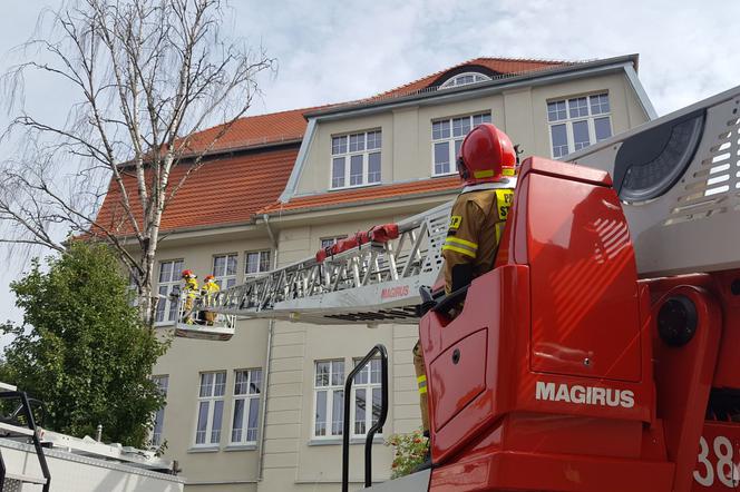 Strażacy przy Szkole Podstawowej nr 3