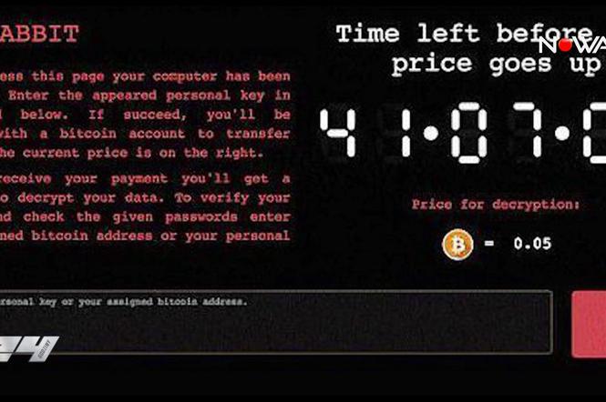 Bad Rabbit. Ten wirus atakuje komputery w Europie!