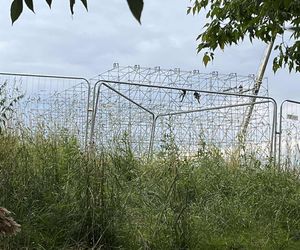 Festiwal ZORZA w Krakowie. Przygotowania na lotnisku Rakowice-Czyżyny