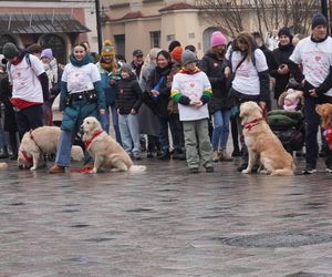 Golden Retriever WOŚP w Poznaniu