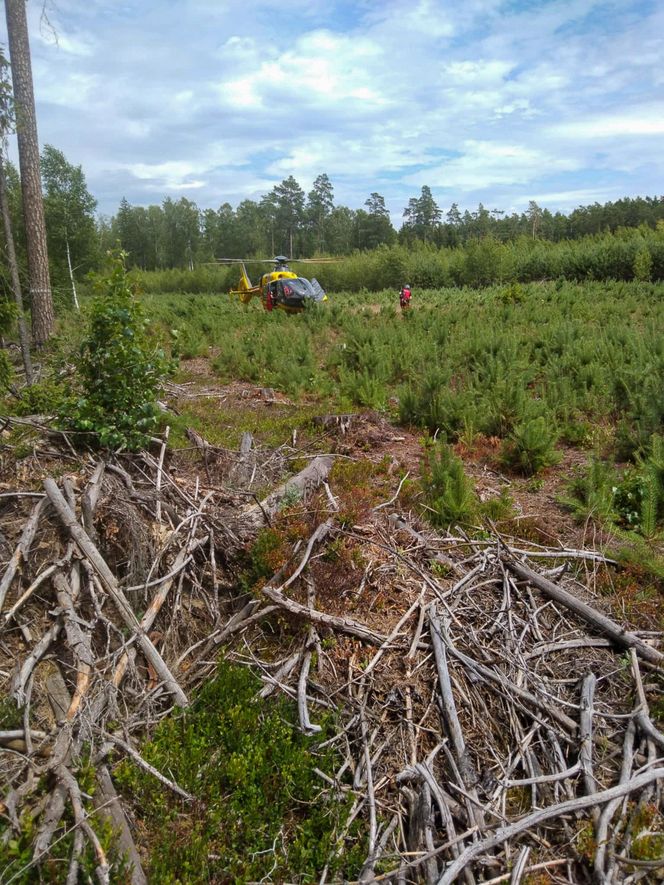 Ceniona dentystka zginęła w tragicznym wypadku w okolicach Spychowa