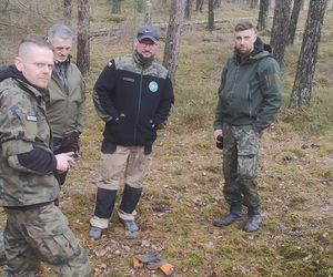 Krzyżackie i polskie monety w rękach badaczy! Szokujące odkrycie w Borach Tucholskich 