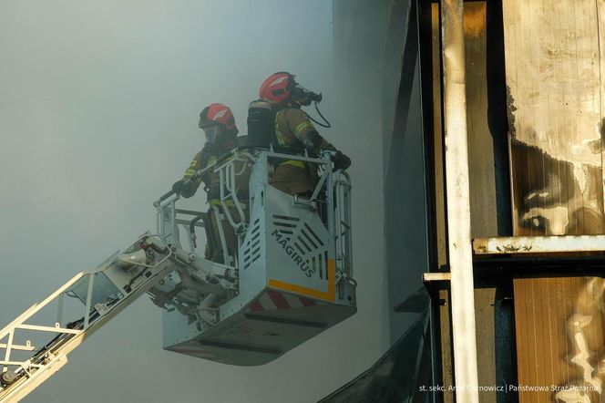  Kawle. Pożar zakładu przetwórstwa drobiowego. 120 strażaków walczy z żywiołem w czwartek, 14 sierpnia. Jeden z nich zaginął [ZDJĘCIA]