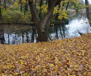 Park Sołacki w Poznaniu jesienią