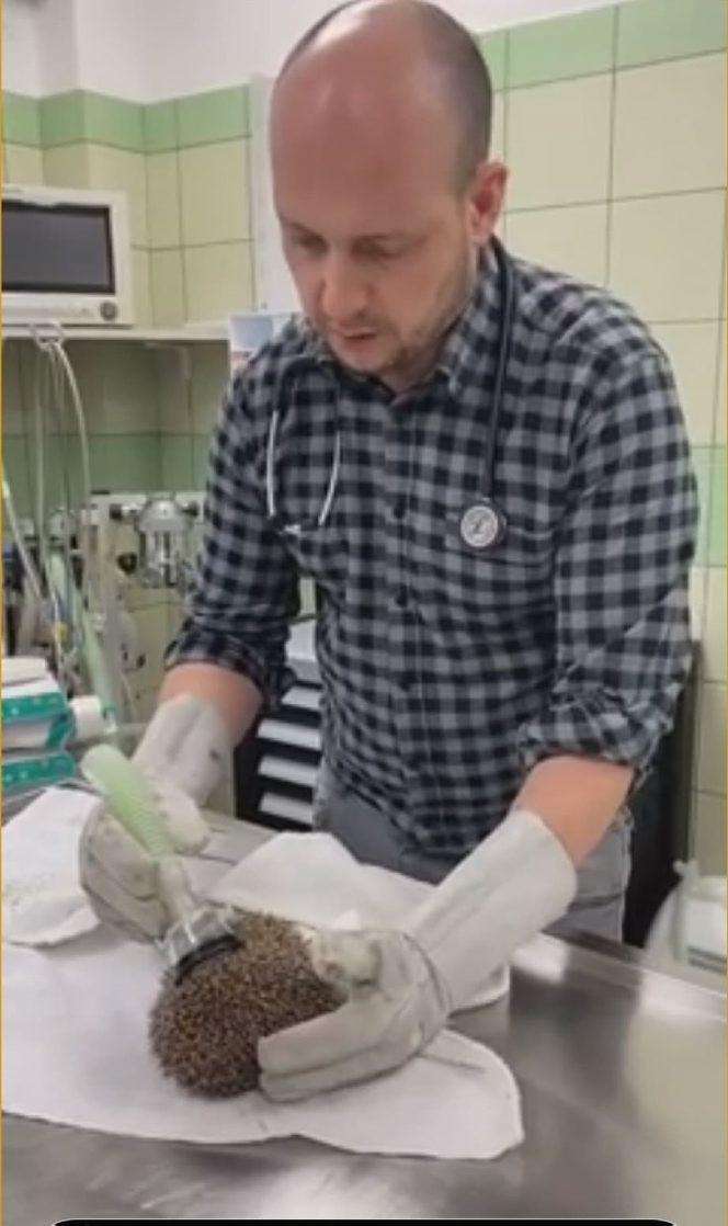 Wściekł się, bo wybudzili go ze snu