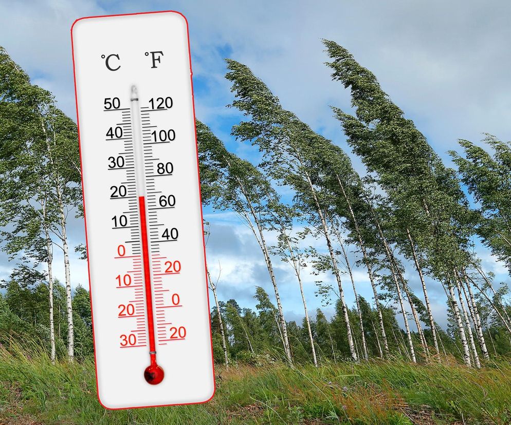 Termometry w górę, ale jest jeden problem. IMGW ostrzega przed wiatrem, nawet 110 km/h! [Prognoza IMGW na 8.10.2024]