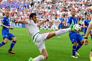 Euro 2016: Islandia - Węgry 1:1. Nemanja Nikolić uratował remis!