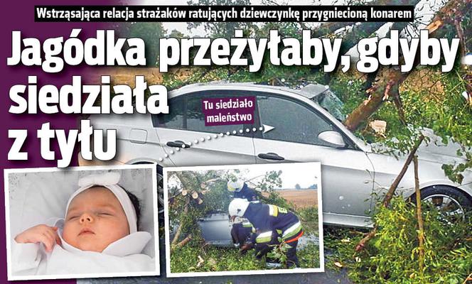 Jagódka  przeżyłaby, gdyby siedziała z tyłu