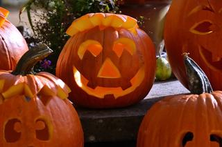 Dynia na Halloween. Jak zrobić krok po kroku? Straszne i śmieszne wzory [GALERIA]