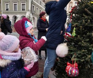  Zamojskie przedszkola i szkoły dekorowały choinki