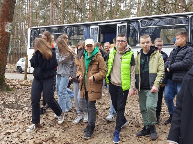 Posadzili kawałek lasu w miejscu wyciętego