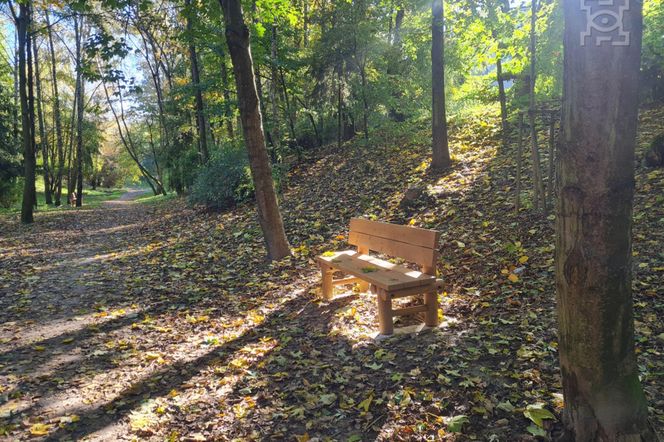 Lublin - Wąwóz Pokolenia na LSM zaprasza po zmianach