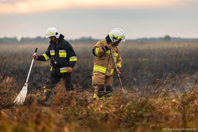 Pożar w Biebrzańskim Parku Narodowym [ZDJĘCIA]