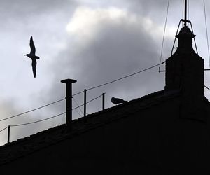 Przygotowania do konklawe 2025 w Kaplicy Sykstyńskiej