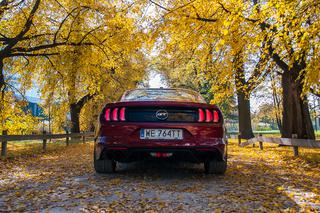 Ford Mustang GT Fastback 5.0 V8 450 KM