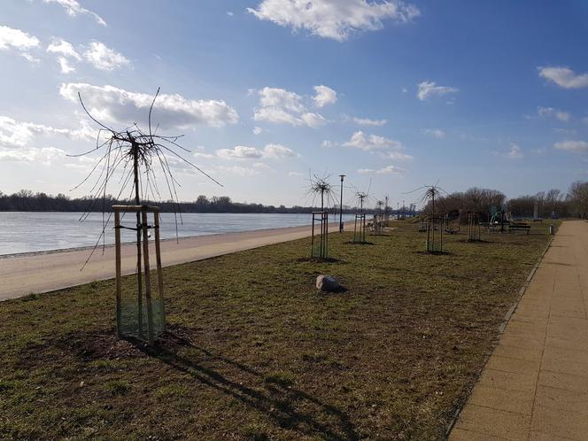 PGE Toruń wspiera zieleń i zagrożone gatunki zwierząt!