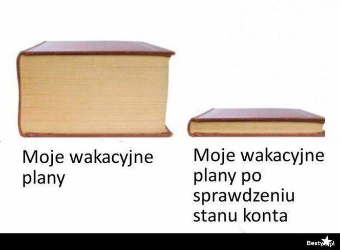  Polacy na wakacjach dają czadu! Zobacz NAJLEPSZE MEMY: Janusz i Grażyna w formie