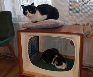 Sielski klimat w Wieliczce