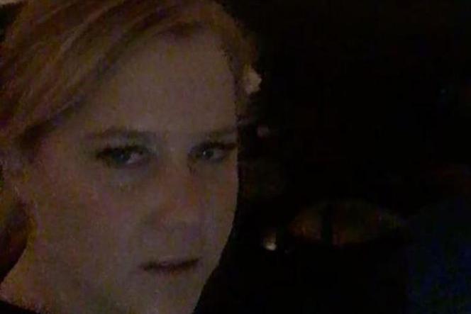 Amy Schumer - Mannequin Challenge
