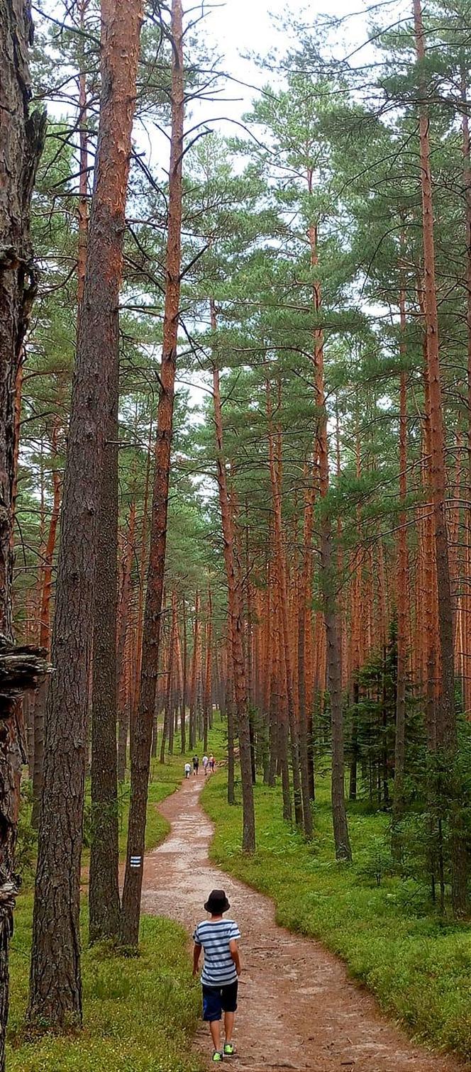 Światowy Dzień Fotografii. Z tych fotek są dumni nasi Czytelnicy! ZOBACZ