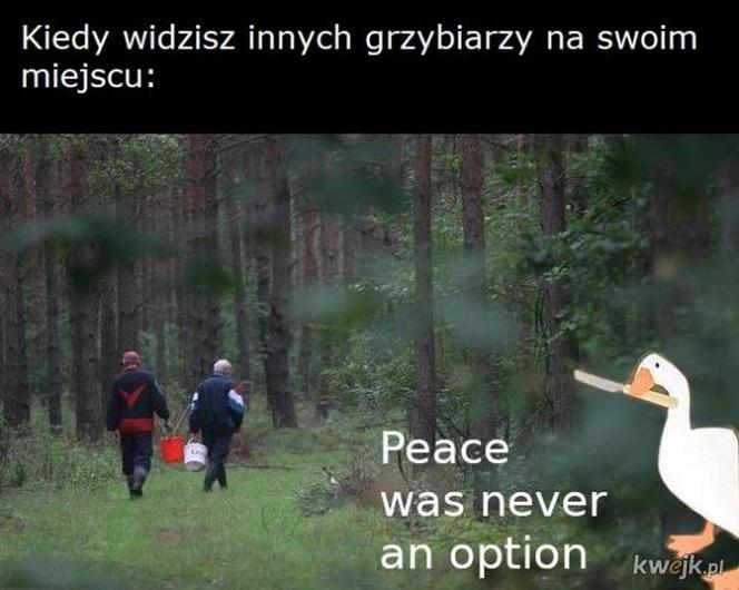 Nóż się w kieszeni otwiera i Janusz i szykuje się na grzyby! MEMY o grzybobraniu [GALERIA]