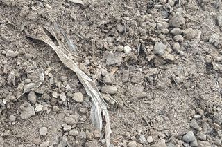 Służby na żwirowni przy S5 koło Leszna. Sprawdzają podrzucone odpady