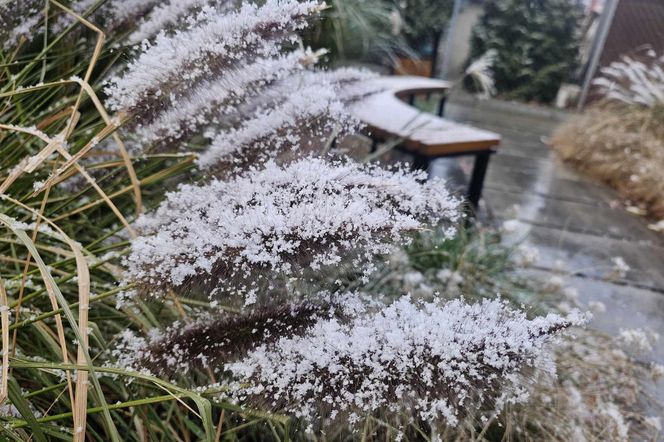 Pierwszy śnieg na Podkarpaciu