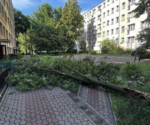 Burze w Świętokrzyskiem - 23-24 czerwca 2025