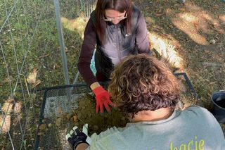 Prace archeologiczne przy ruinach zamku w Nowym Sączu 