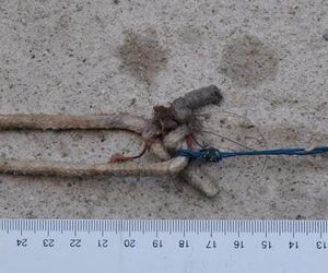 Ubrany szkielet kobiety na kamieniu tuż przy potoku. Natknęła się na niego turystka